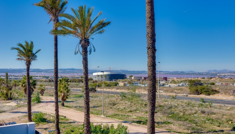 Neue Gebäude - Villa / Semi detached - Torrevieja - Nueva Torrevieja - Aguas Nuevas